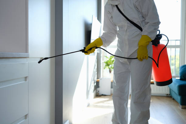 Mold Odor Removal Services in North Fort Lewis, WA